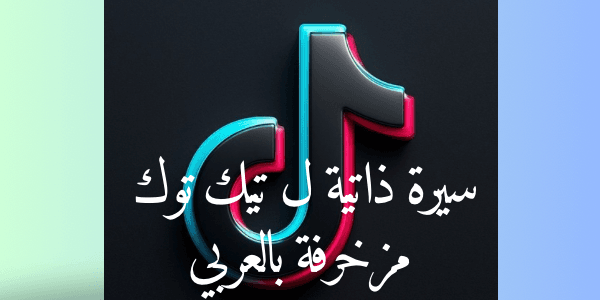 اجمل سيرة ذاتية ل تيك توك مزخرفة بالعربي اكتر من 200 بايو