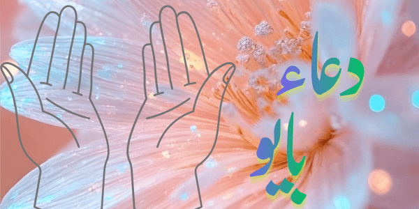 افضل دعاء بايو ( اكثر من 500 للبايو )