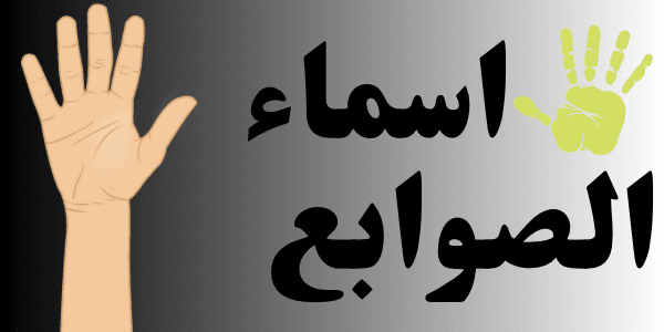 اسماء الصوابع ( اسماء الاصابع 5)