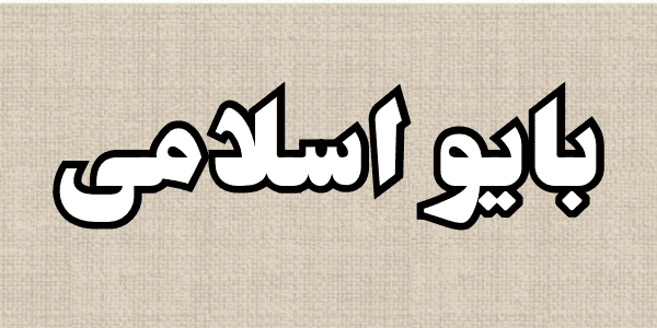 بايو اسلامي إليكم +400 بايو